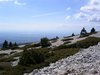 06_ventoux_f